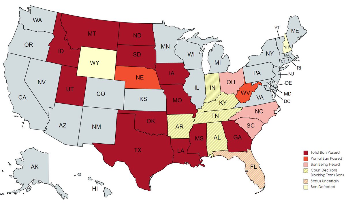 The tide is turning on anti-trans bills.

They are resoundingly being seen as unconstitutional in courts.

This map shows the fate of gender affirming care bans for trans youth. A month ago, this map was almost entirely red.

Now, significant chunks of the USA have access again!