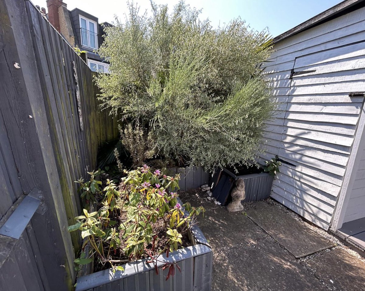 Recyclosaurus's tweet photo. Recyclosaurus transformation: Before and After! 🌿🦖

Need a clearance? Send us a DM! Website link in bio. 

#recyclosaurus #houseclearance #rubbishremoval #gardenclearance #officeclearance #removals #clearance #recycling https://t.co/qF6o0sZpwh