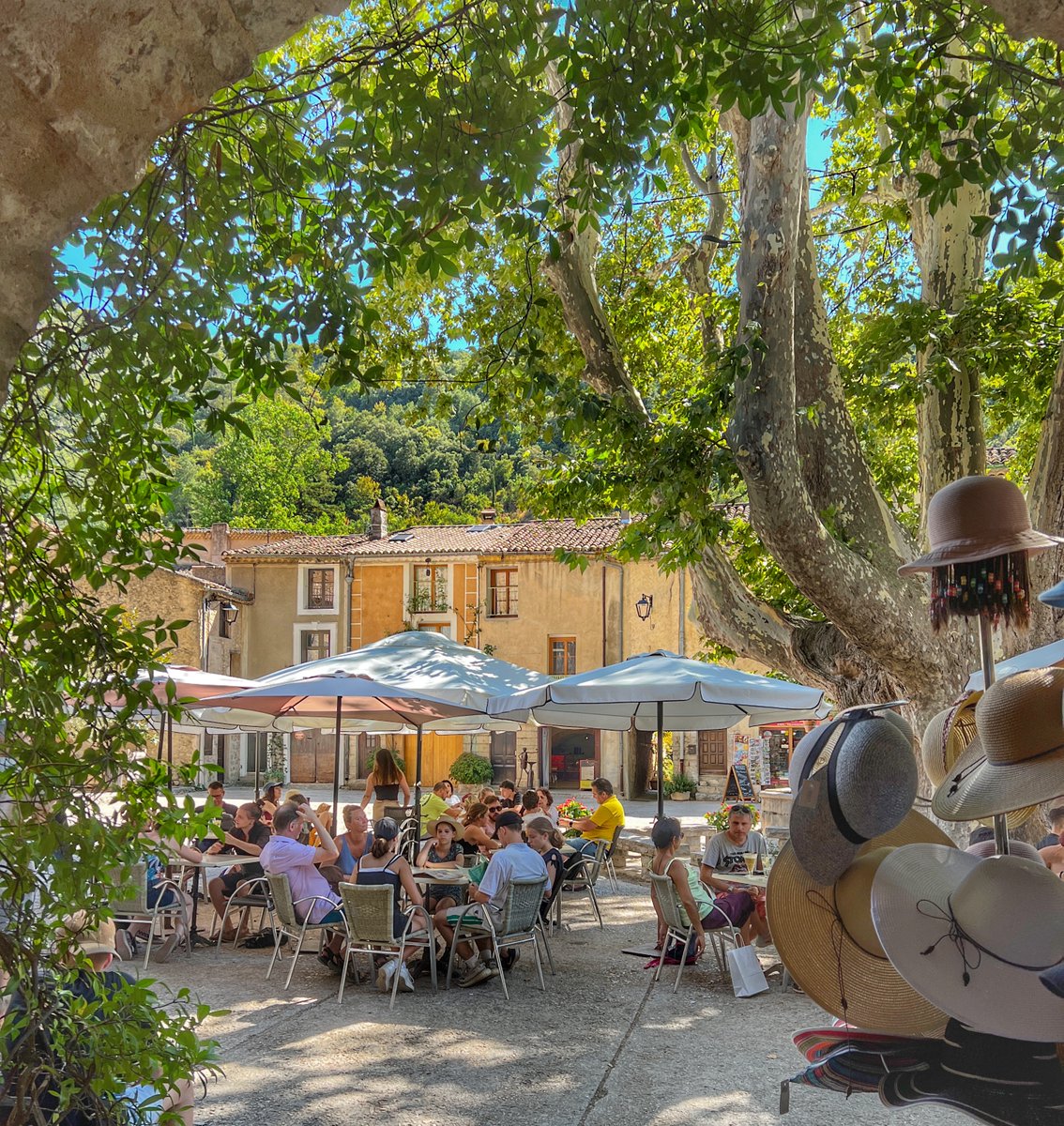 Daily #photooftheday from #France sitting in the shade of the biggest plane tree in France at St Guilhem-le-Desert (Herault)... #thegoodlifefrance