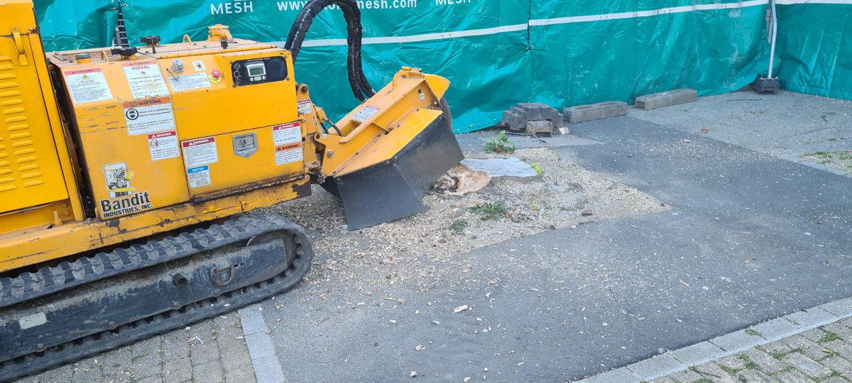 plymouthcc's tweet photo. The clean-up of Armada Way has begun! This afternoon work began on the removal of the stumps of the felled trees in Armada Way. Bit by bit – we are taking back control and cleaning up the mess in the city centre! Find out more 👇
https://t.co/7pTa2sFNAy https://t.co/b70DcTghNm