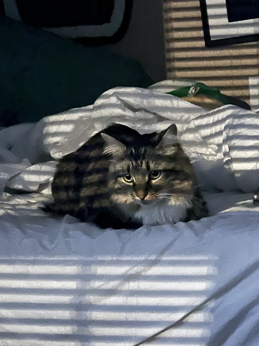 What song is he listening to?