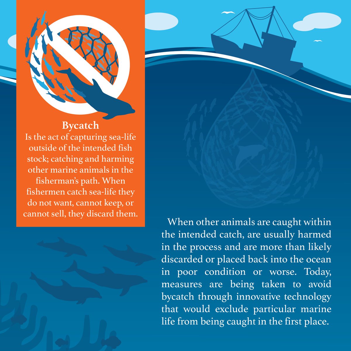 #Bycatch refers to unintentionally caught or entangled fish, mammals, turtles or sea species other than the targeted fish stocks & usually results in the death of bycatch. #IUUF #IUUFishing #fightIUU #fightIUUF #FightIUUFishing

(Graphic design by Ms. Andrea Sofia Sanchez #D7)