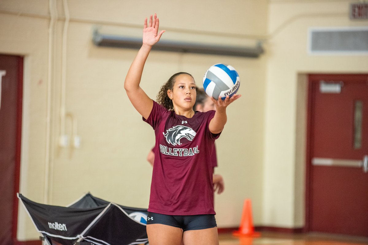 Saluki Volleyball tweet media
