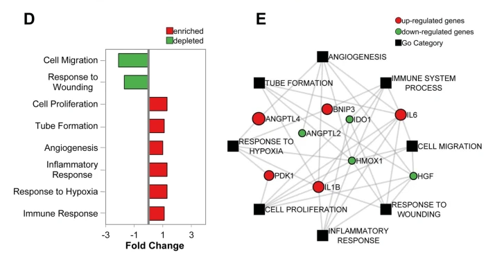 Menstrual blood-derived stromal cells: insights into their secretome in acute hypoxia conditions
M Ángeles de Pedro, M Pulido, V Álvarez, F Marinaro, AM Marchena, FM Sánchez-Margallo, JG. Casado &amp; E López  #woundhealing #stemcells #futuretherapies molmed.biomedcentral.com/articles/10.11…