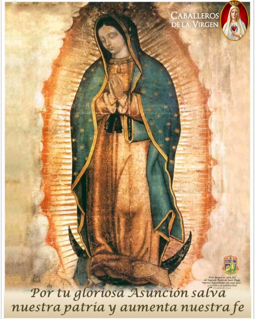 ¡Virgen Santísima de Guadalupe!
Santa Madre de Dios, señora y guía de todos nosotros. Por tu bendita imagen hoy elevo mis súplicas en tu nombre para que dirijas tu mirada a este fiel servidor; no me desampares en los momentos oscuros y sé mi luz espiritual en cada empresa de mi