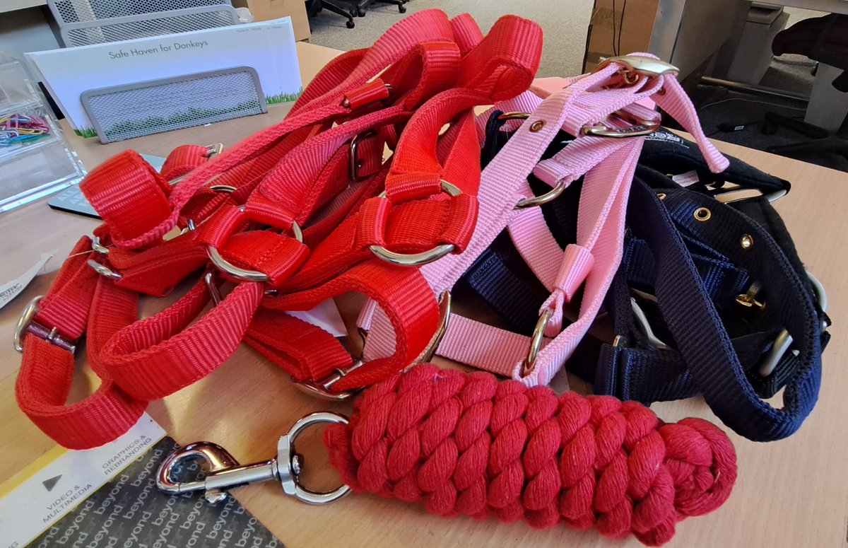 We would like to thank the Saddlery Shop in Beaworthy, Devon, so much for their extremely kind donation of brand new head collars and lead ropes - we are extremely grateful for their support!