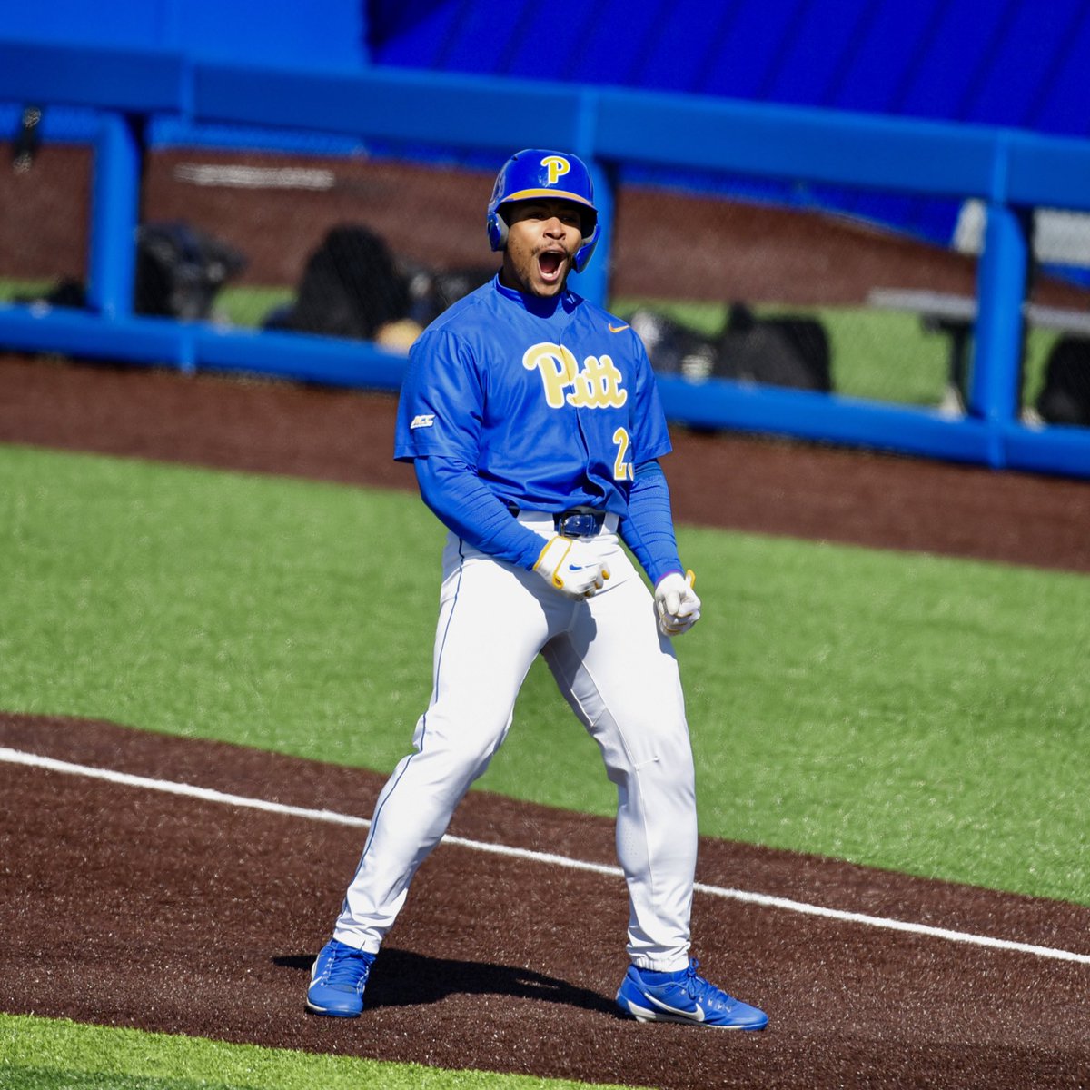 Pitt Baseball on Twitter "17 hits in one week 🤯🤯 Former Panther Ron