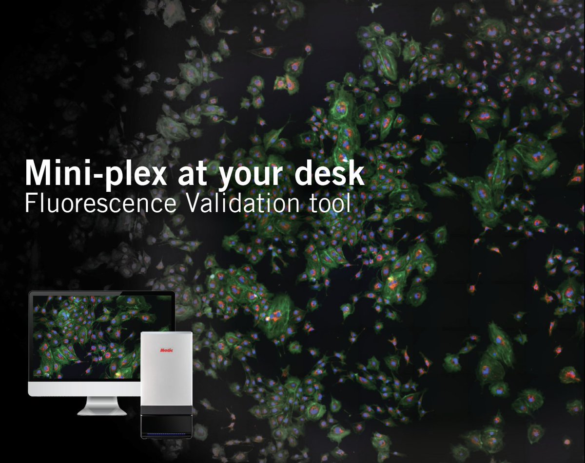 #MoticEasyScanOneFL is the perfect desktop fluorescence slide scanner!

Some great use cases include:

✅ Fast-paced low-plex FISH
✅ Spatial biology validation
✅ Antibody screening

To learn more, click the link below!
bit.ly/4420L0n