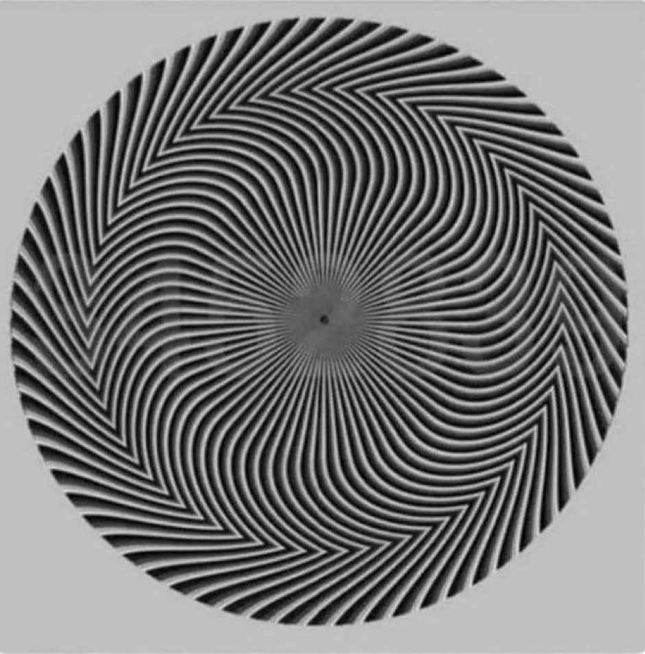 What numbers do you see? 🤣