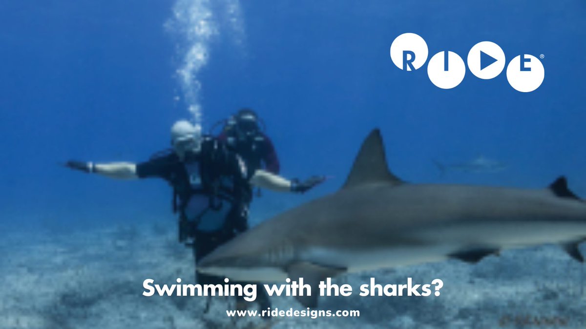 Ride Designs tweet media