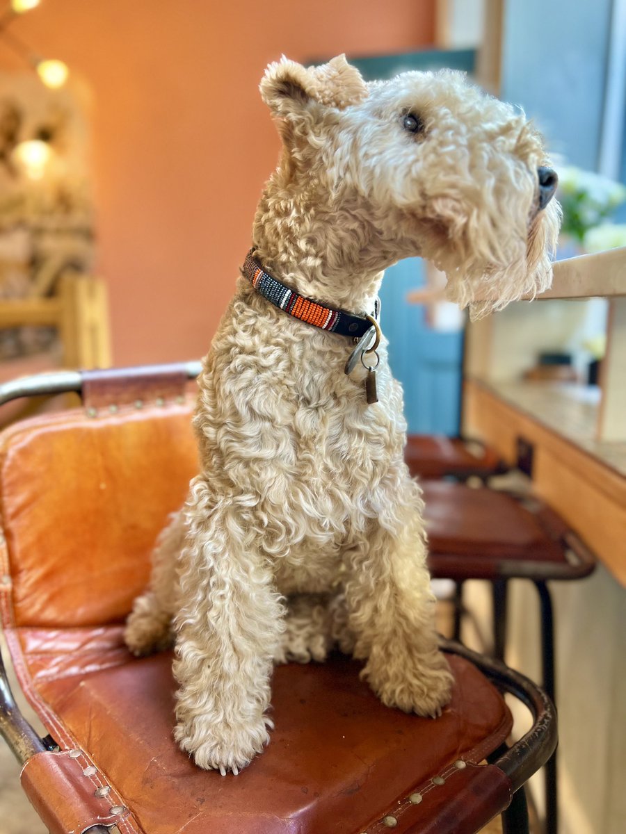 bertie_lakeland's tweet photo. Good evening from me 💋 https://t.co/3BdtLn1YXQ