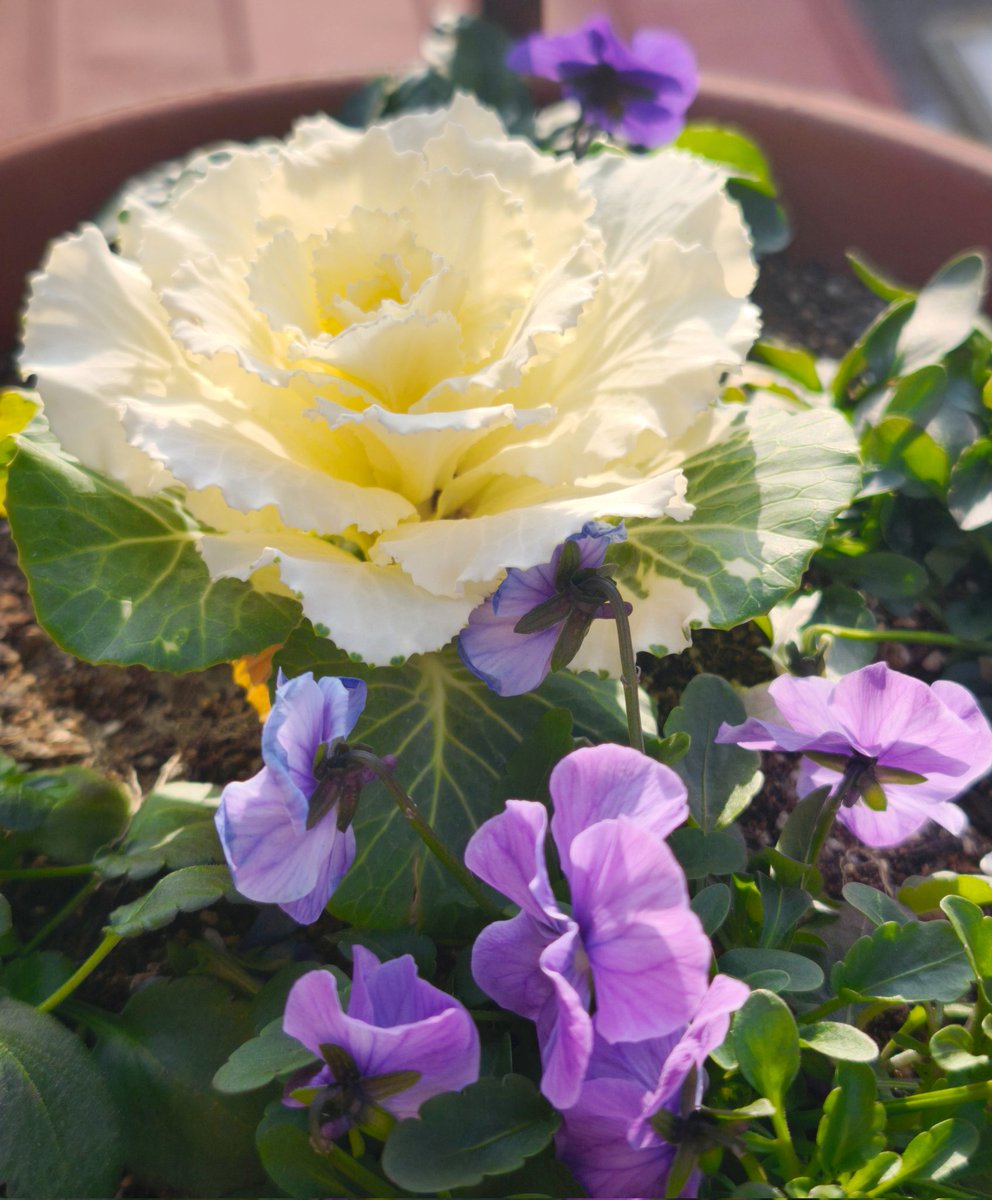 ルチア (@yumg7426) / Posts / X