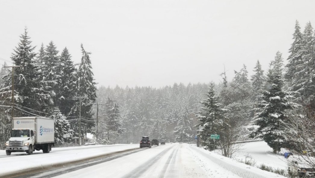 VibrantVictoria.ca tweet media