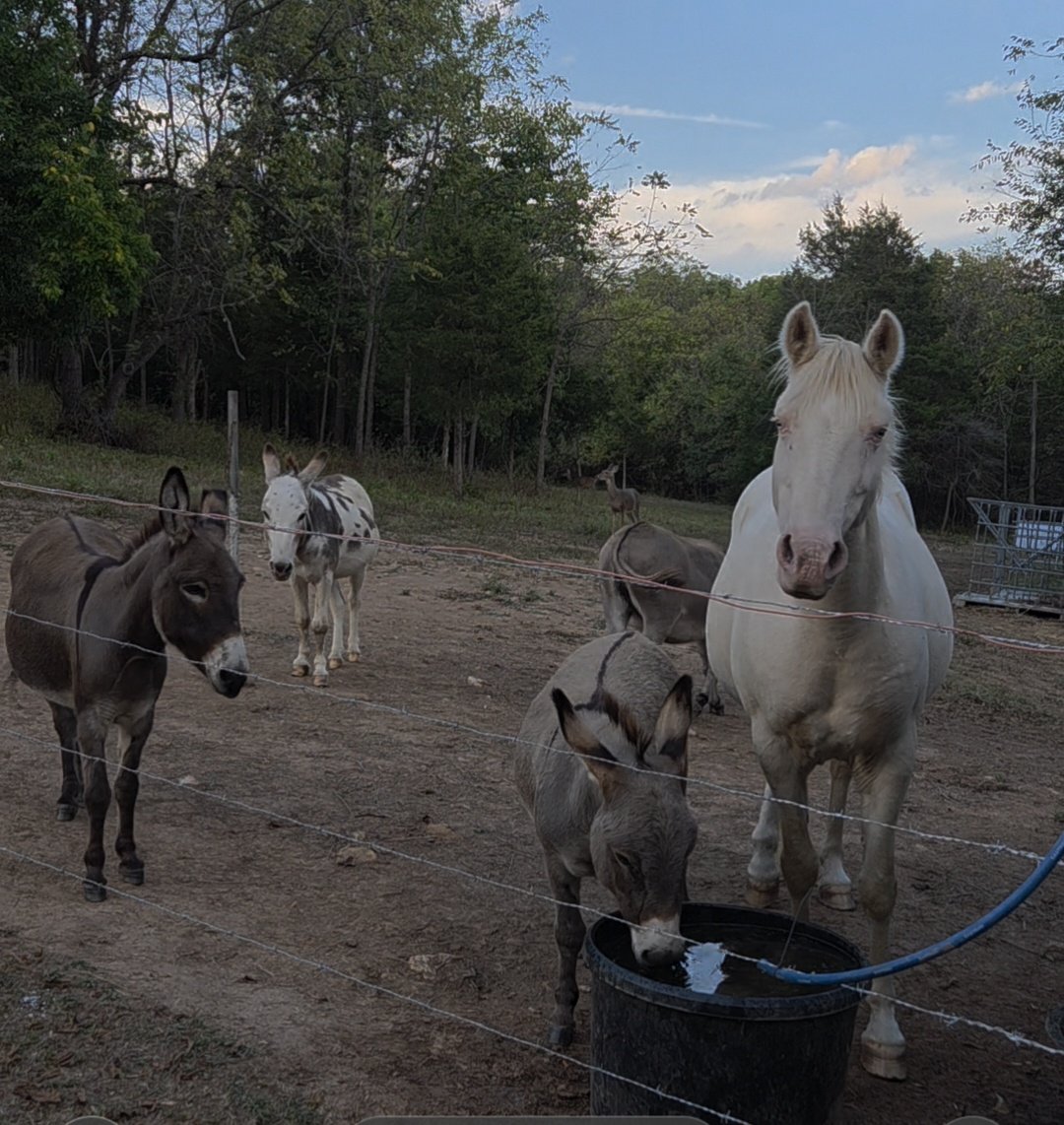 WadeCook64's tweet image. The crew with a visitor in the back.❤️😎