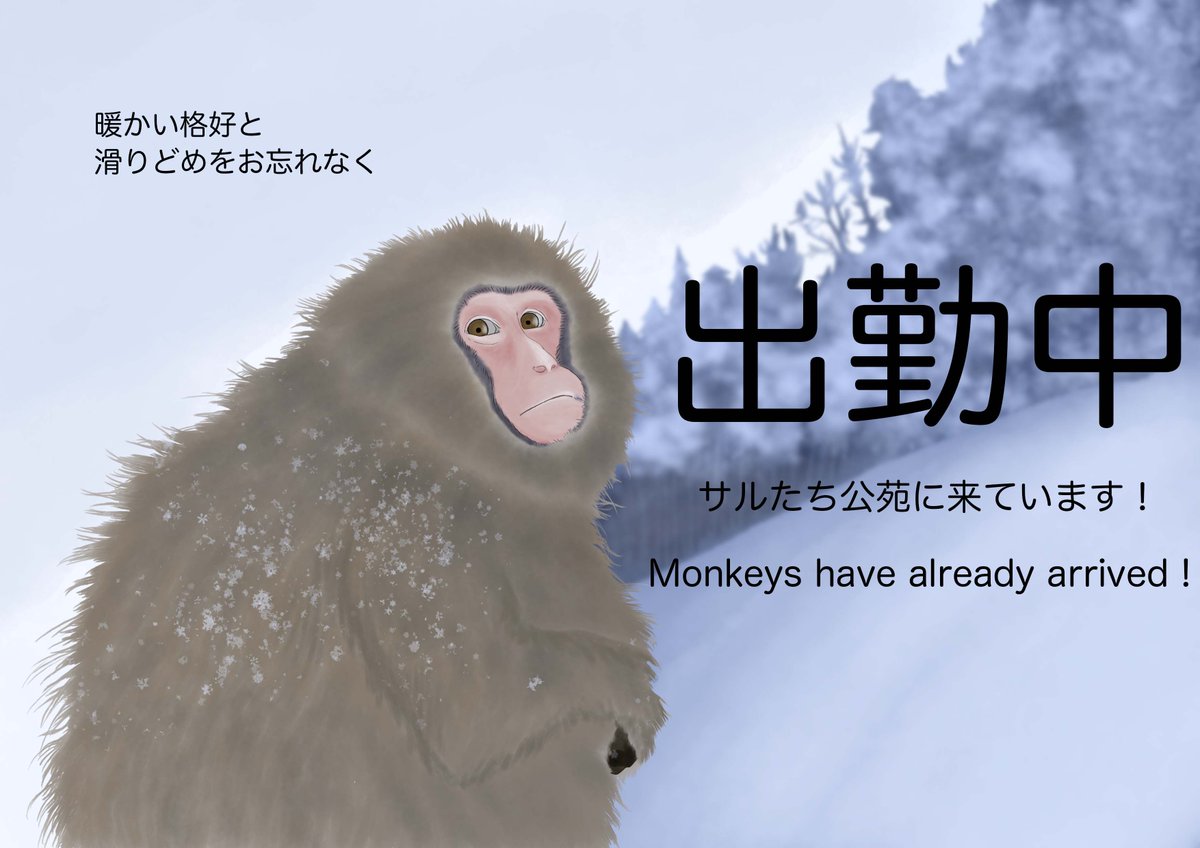 1/19 9:00 サルたち公苑に来てくれています Monkeys have already