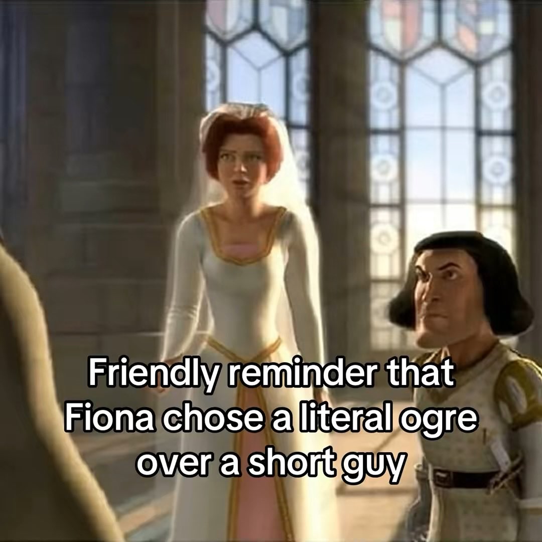 Thuislander's tweet image. 