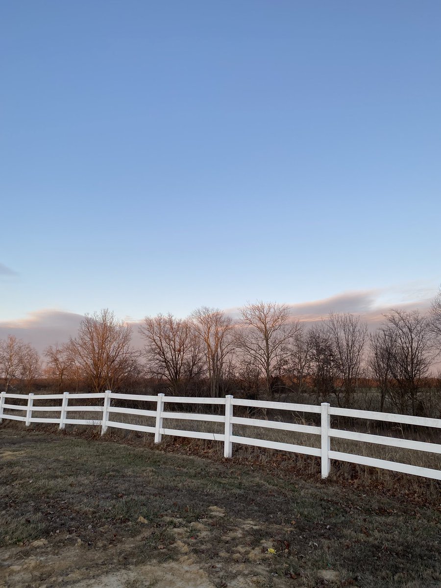 Cassandra tweet media