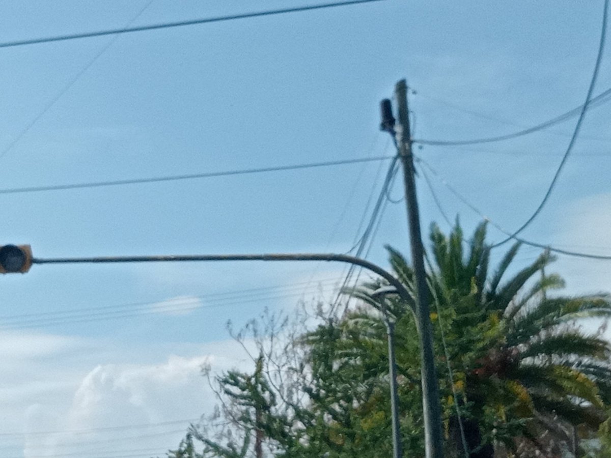 Coco Barruquin tweet media