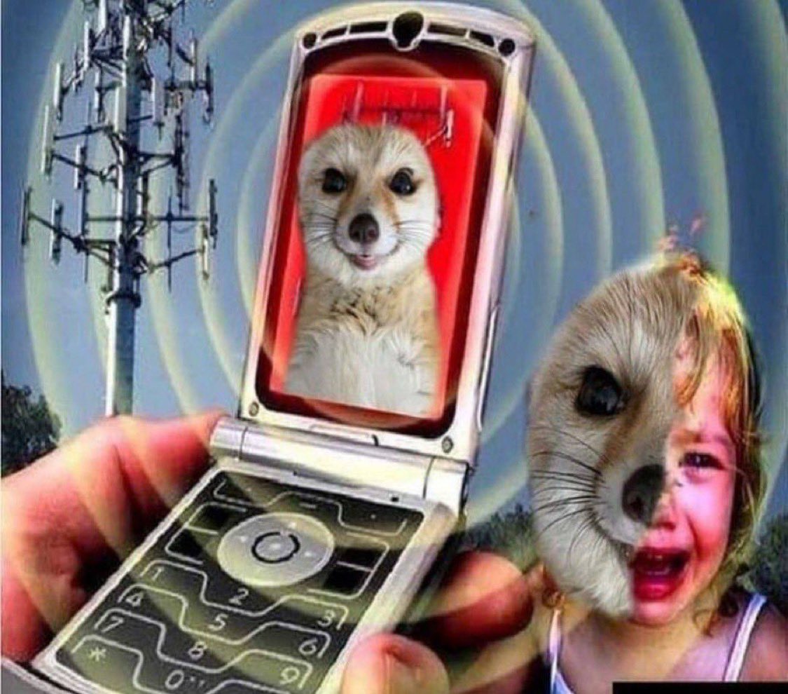 Is this the future you want??