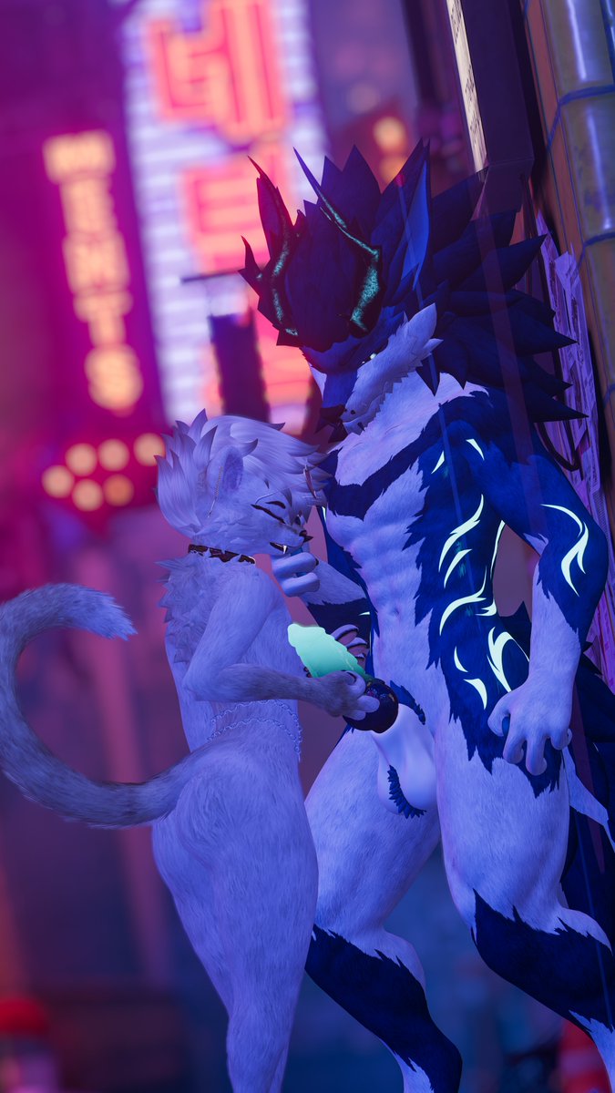 FercyAd's tweet photo. Having fun with this alley cat. https://t.co/meA2RaIs7o