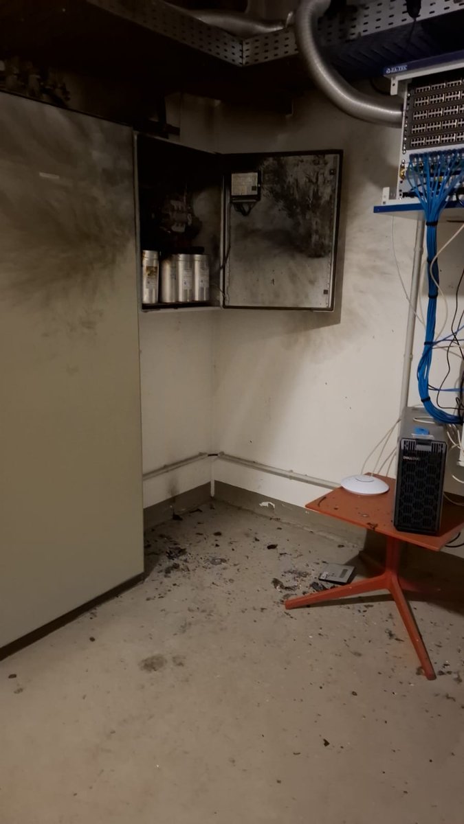 MaxiMcFly tweet media