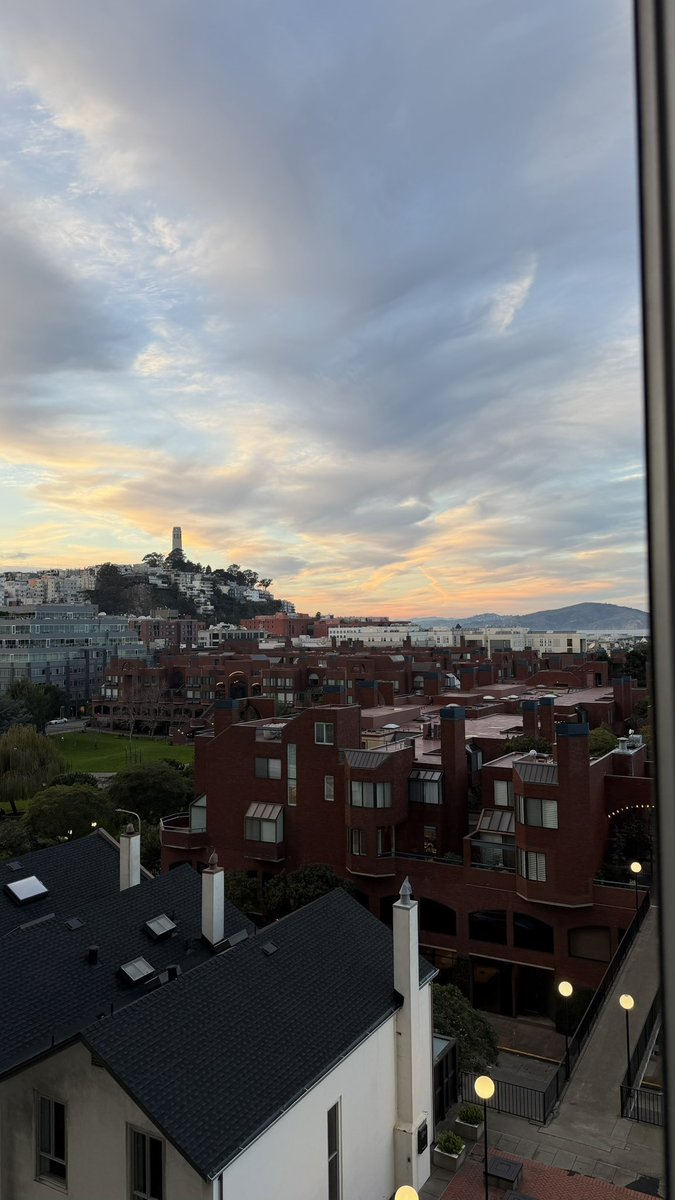 sameel arif tweet media