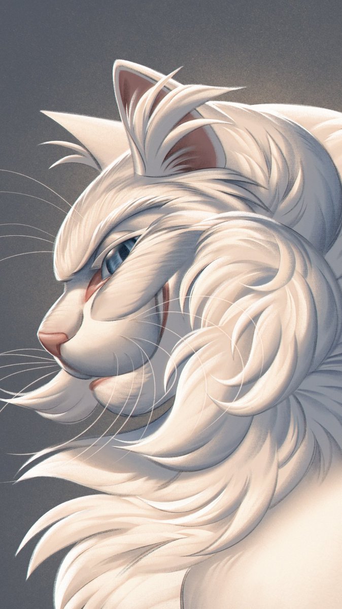 Loki🌵 tweet media