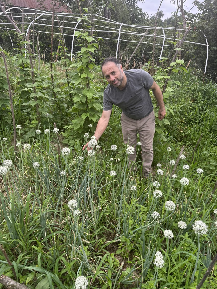 Bu güzelim toplumu gıdayla, yedikleriyle bozdular bende tersine çevirerek düzeltemeye kendimi adadım. Paramı, zamanımı, aklımı her şeyimi bu yolda harcıyorum ve harcayacağım. Bu yolda başıma ne gelirse gelsin umrumda değil. Ben inanıyorum, dostlarım inanıyor. Ata tohumları