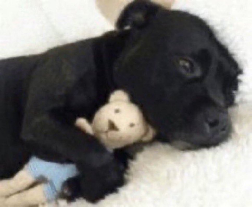 krlaruts's tweet image. sempre fui muito convicta da minha bissexualidade mas ultimamente tenho feito descobertas internas e não tenho certeza mais