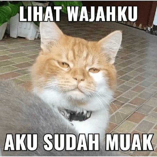 <a href="/sereinths/">yupi²⁶🐌</a> w setiap kali buka latsol tentang PK PM