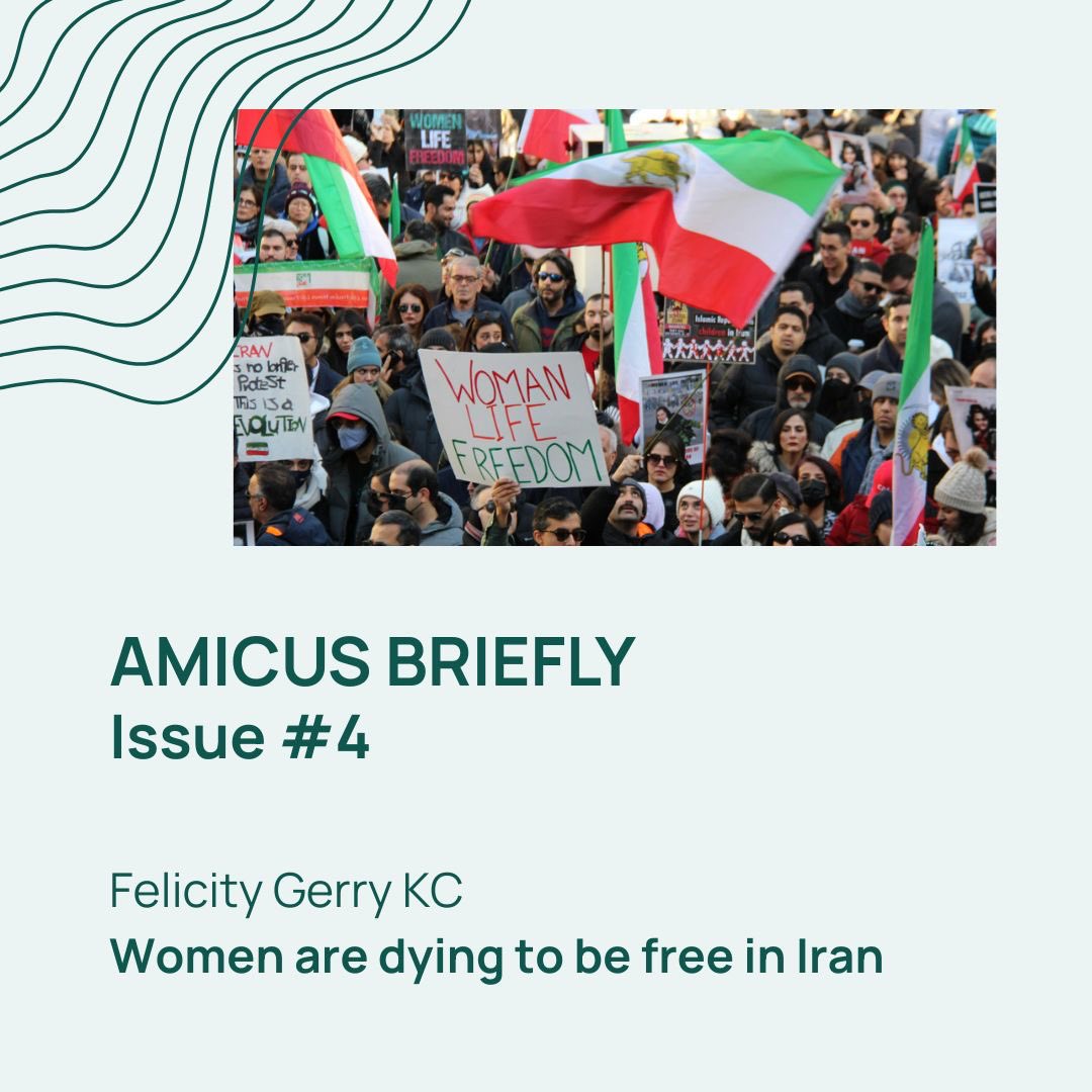 Dr Felicity Gerry KC tweet media