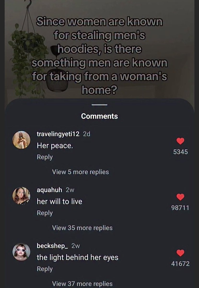 Wild Sentences (@wildsentences) on Twitter photo 