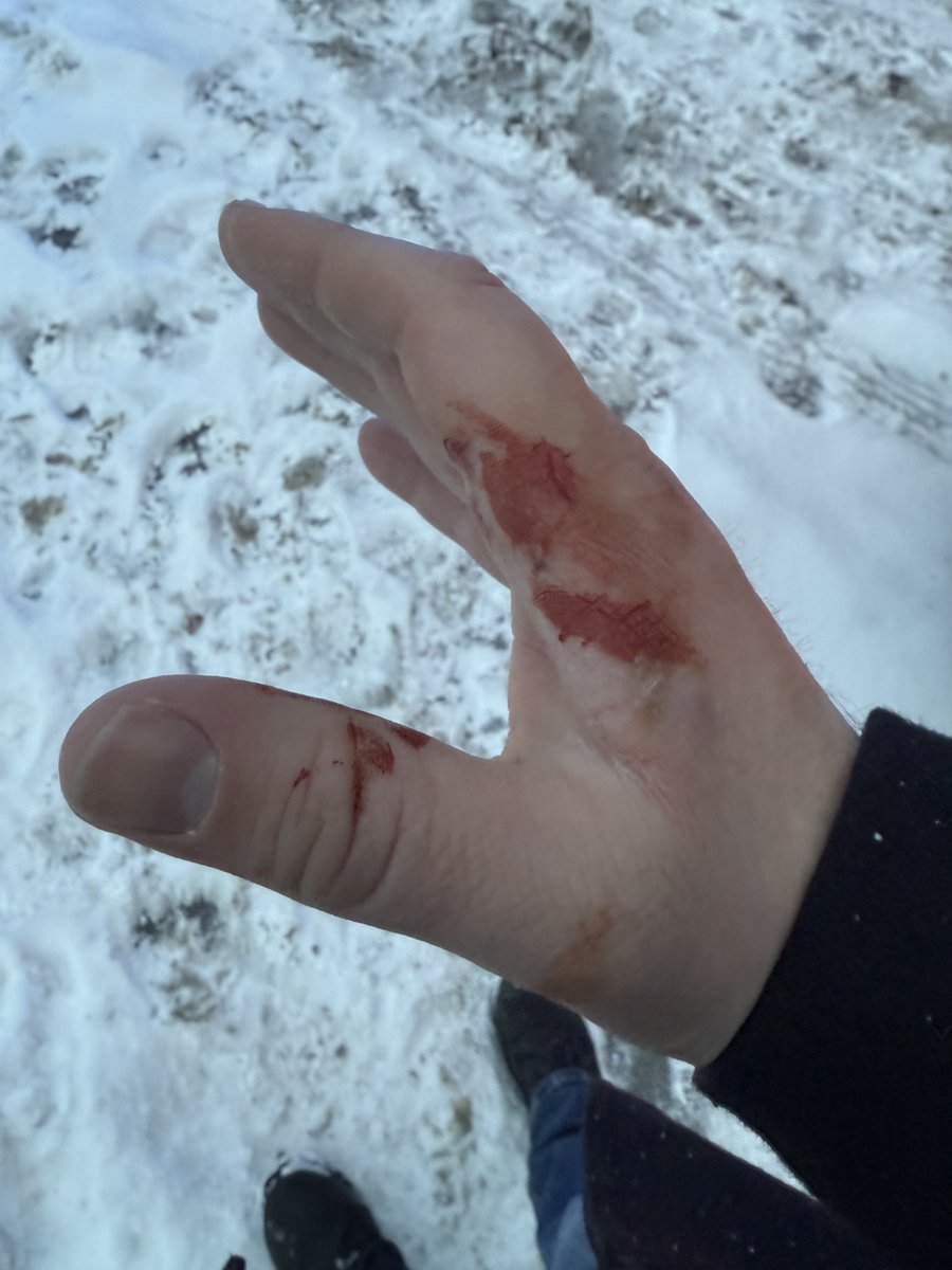 Nick Sortor tweet media