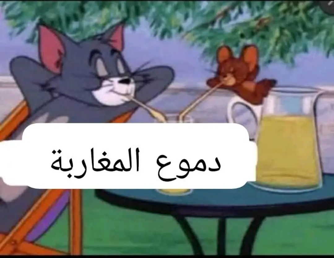 Daniel_Maged1's tweet photo. @Brahim https://t.co/GHzzAferM4