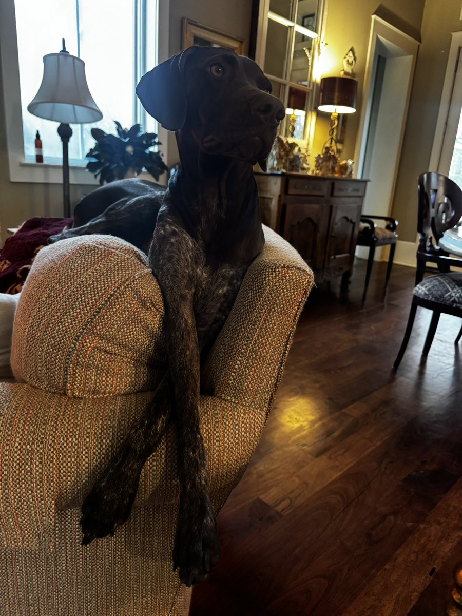 Beth Moore tweet media