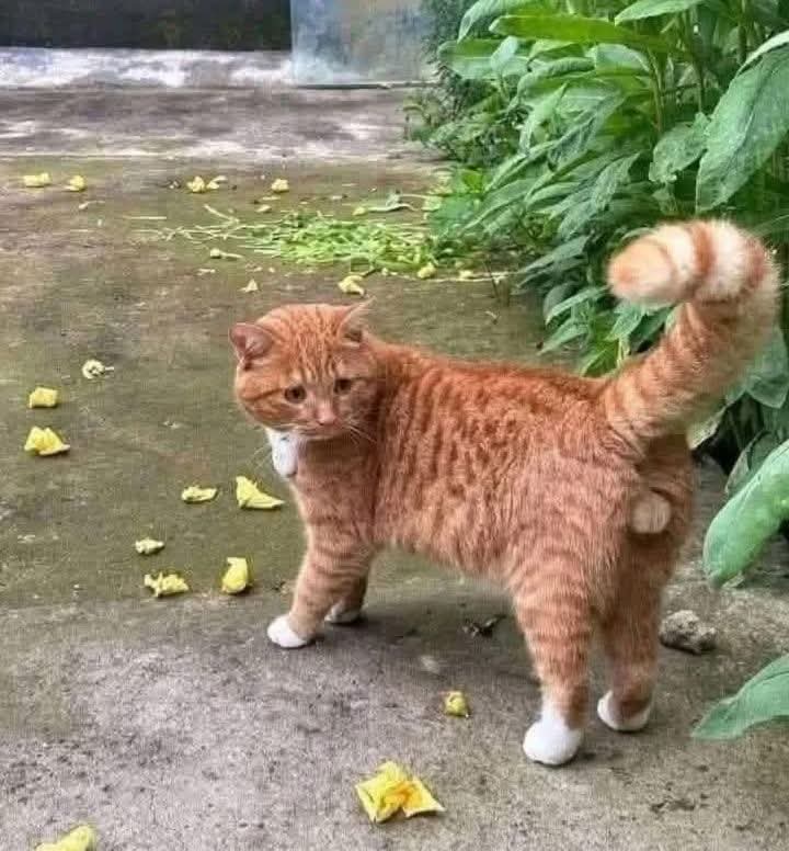 Diego Prieto✈️ tweet media