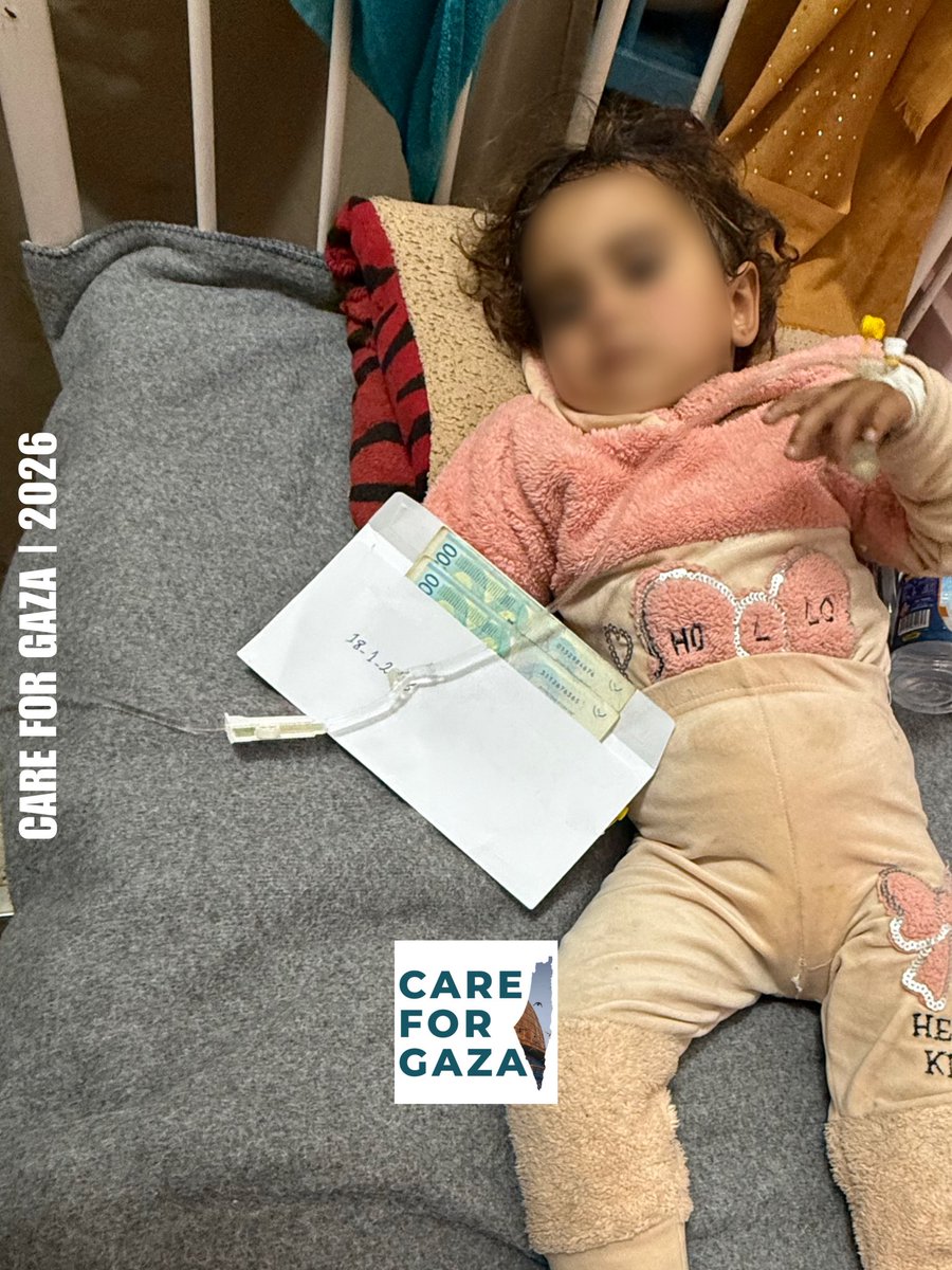 CareForGaza's tweet image. Cash assistance for displaced families in Gaza.

chuffed.org/project/care4g…