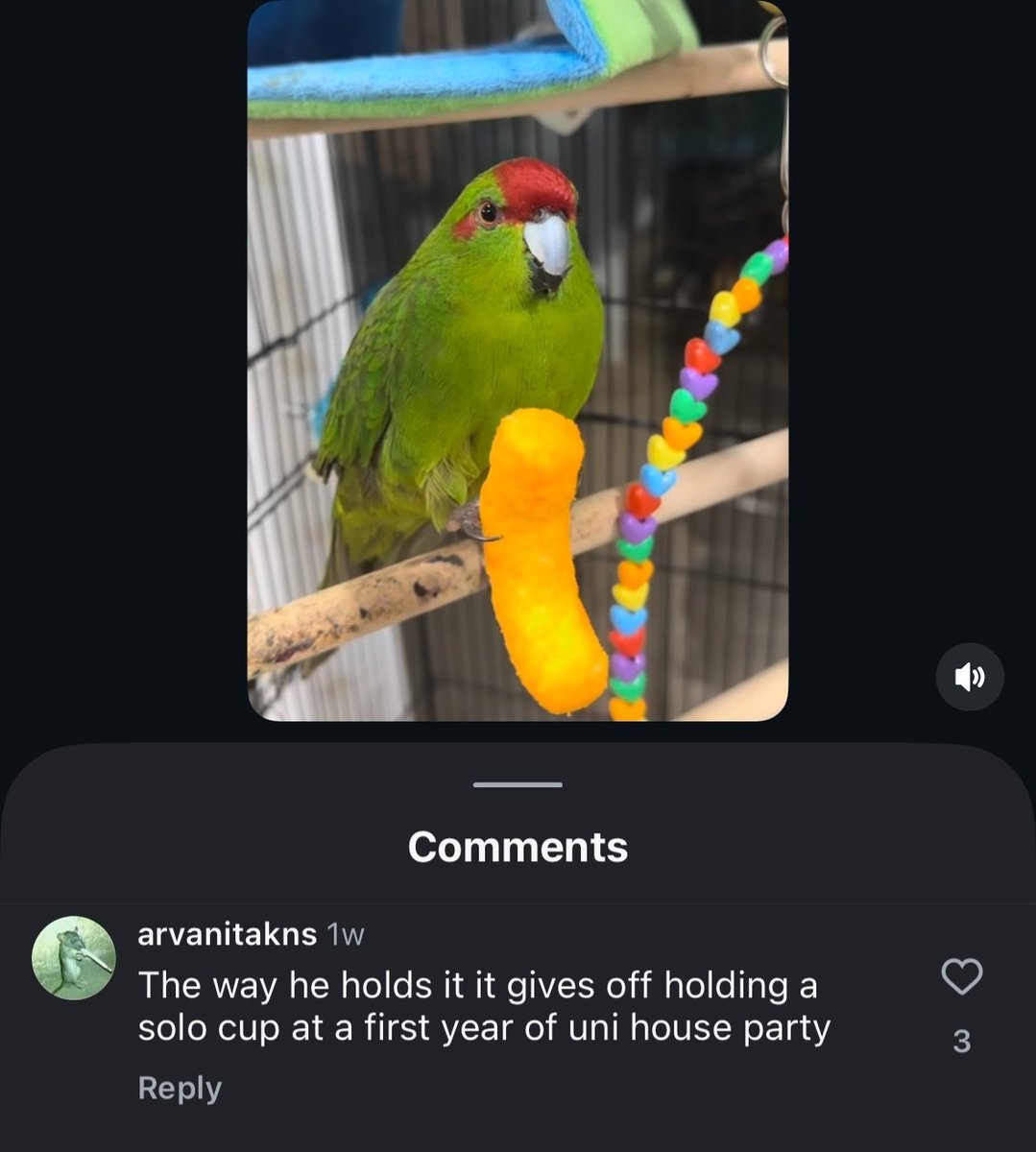RustBucket0's tweet photo. Reference: https://t.co/Y5p36OSOTu