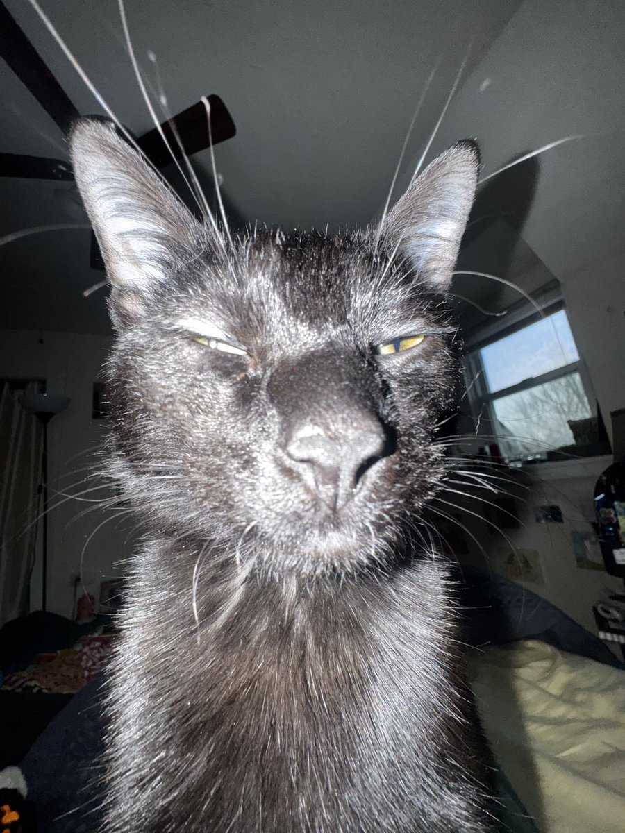 "who knew smoking weed could be so easy!"
the humble bong user: