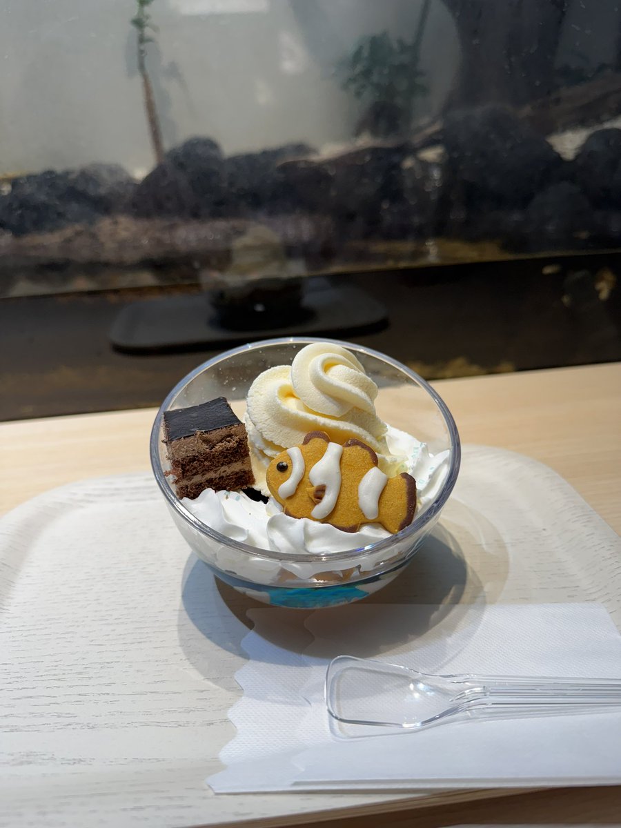 db_atom's tweet image. おはようございます、アトム接骨院です‼️

あっという間に1月も後半に…(|| ﾟДﾟ)ﾊﾔｲ…

たまにはオシャレなものを食べた写真をあげてみようかと思ったけど、映える撮り方ができない男でしたꉂꉂ(ˊᗜˋ*)
 #アトム接骨院
 #浦和
 #アクアパーク川越
 #おしゃれ
 #スイーツ