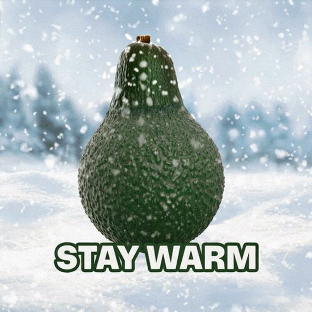 It's World Snow Day! We don't get much snow here in Arizona, unless we go waaaaaay up in the mountains. If you have SNOW, please make a snowman for me! ☃️☃️☃️☃️