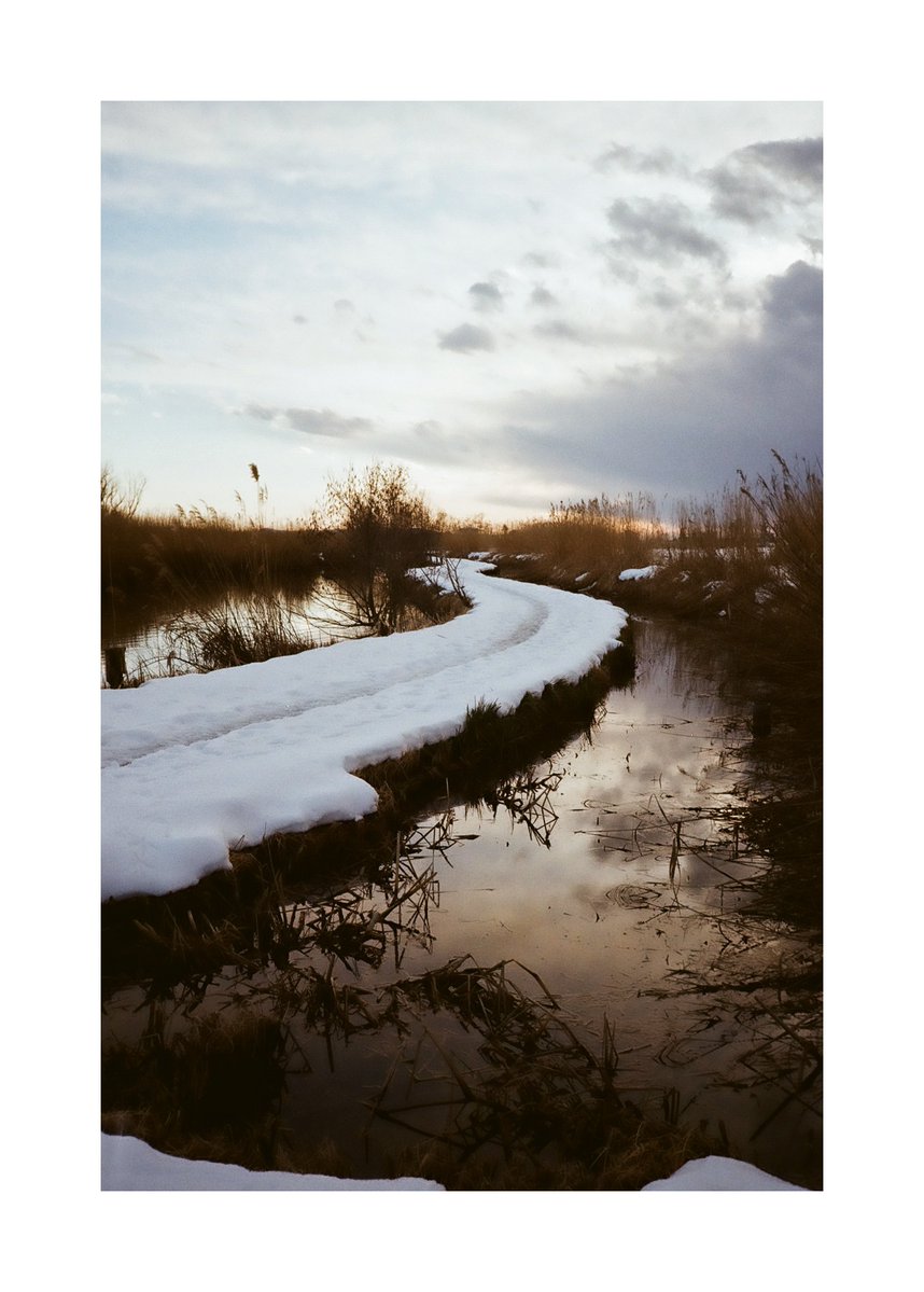 FORPRO_F's tweet image. Nikon L35 AD3
Nikon LENS 35mm f2.8
Kodak GOLD 200