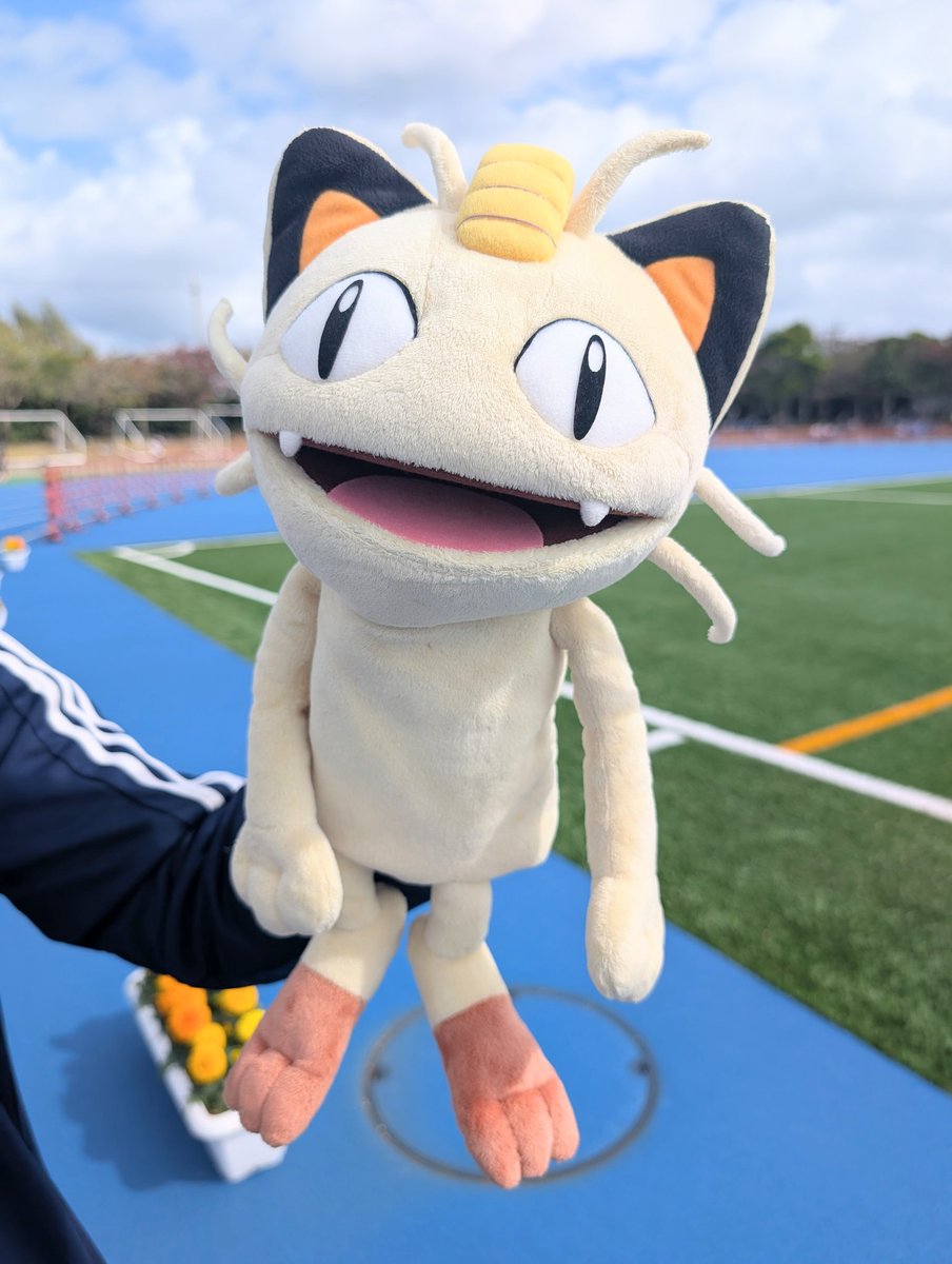 ポケモンだいすきクラブ マンスリープレゼント当選品 2008 Yahoo