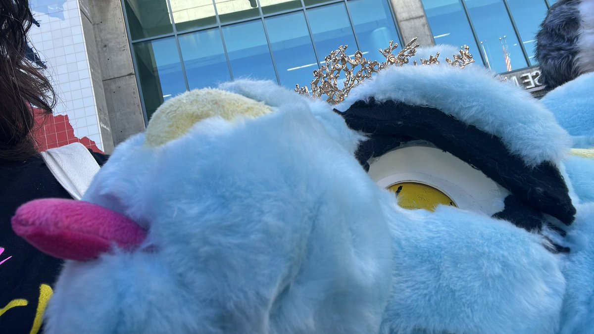 Going to be at the pokefur meet today and wandering around the con all day