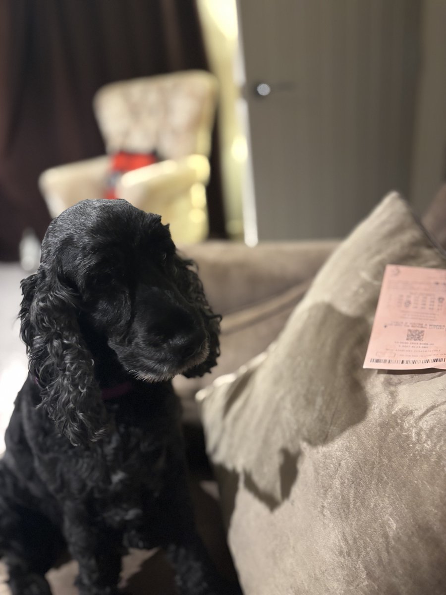 Another week at work it is then…