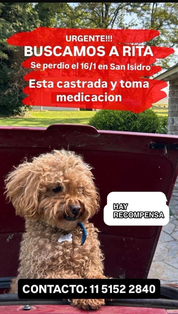 Atención San Isidro, siguen buscando a Rita! 
Please, RT.