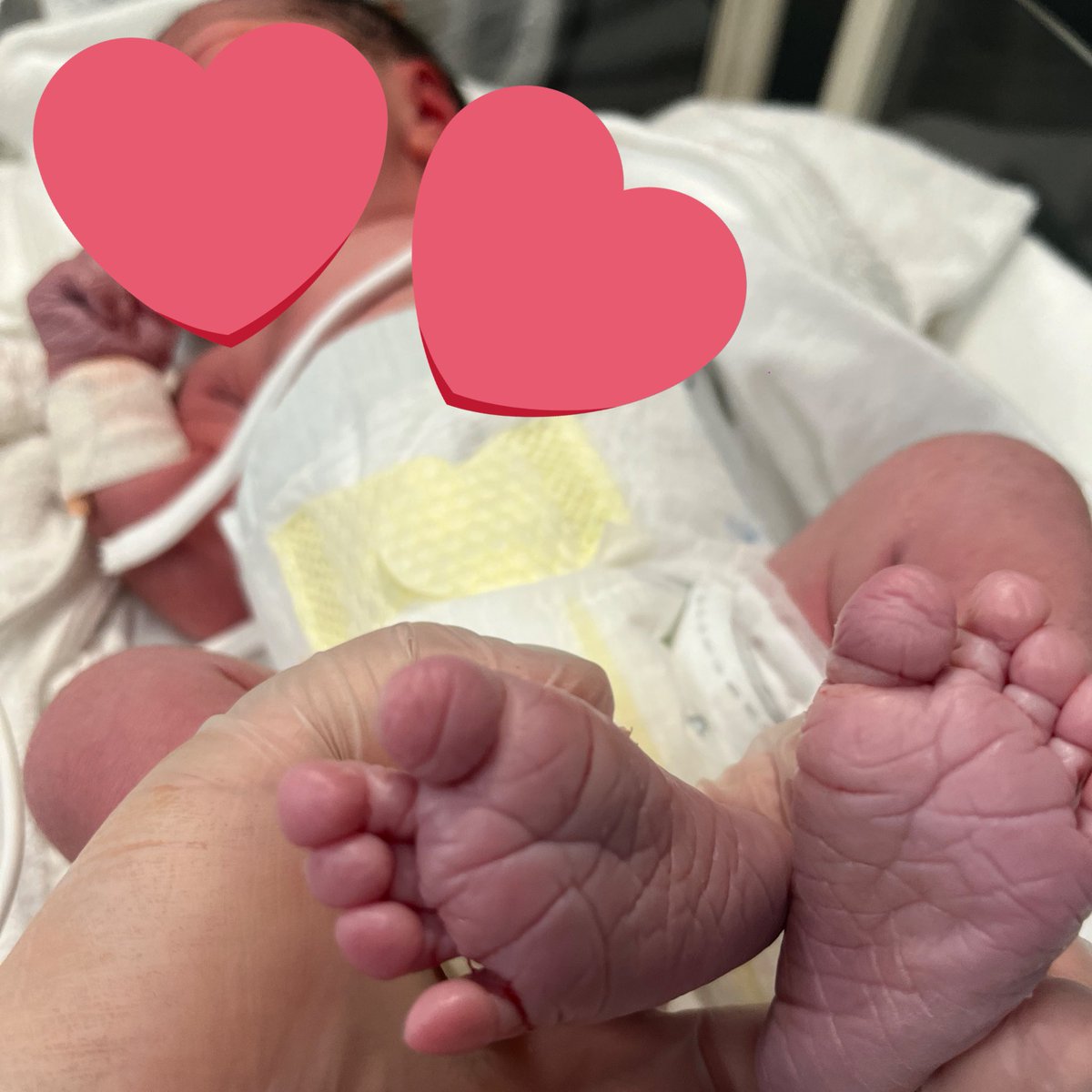 ぴすけ☺︎2m🩰 tweet media