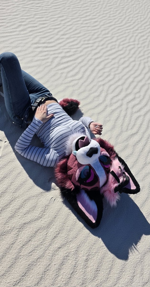 Lyla ✨️ tweet media