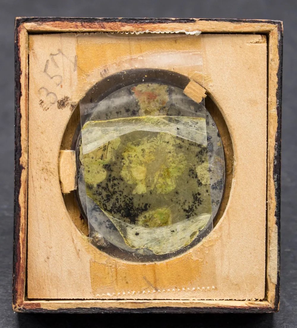 La misma Sala alemana adjudicaba estas otras dos estupendas miniaturas del Siglo XVII, Retratos de Caballeros, óleos sobre planchas de cobre de 4.8 x 3.4 cms y 6 x 5,2 cms respectivamente