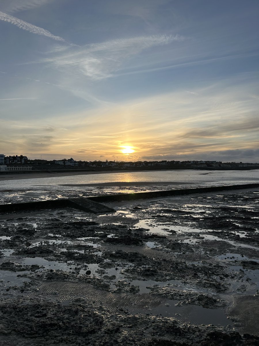 Sara Turle 💙 tweet media